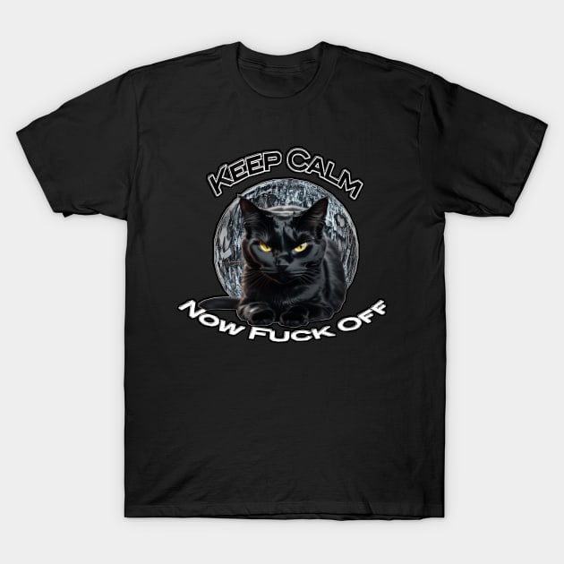 Black cat T-Shirt by CreakyDoorArt